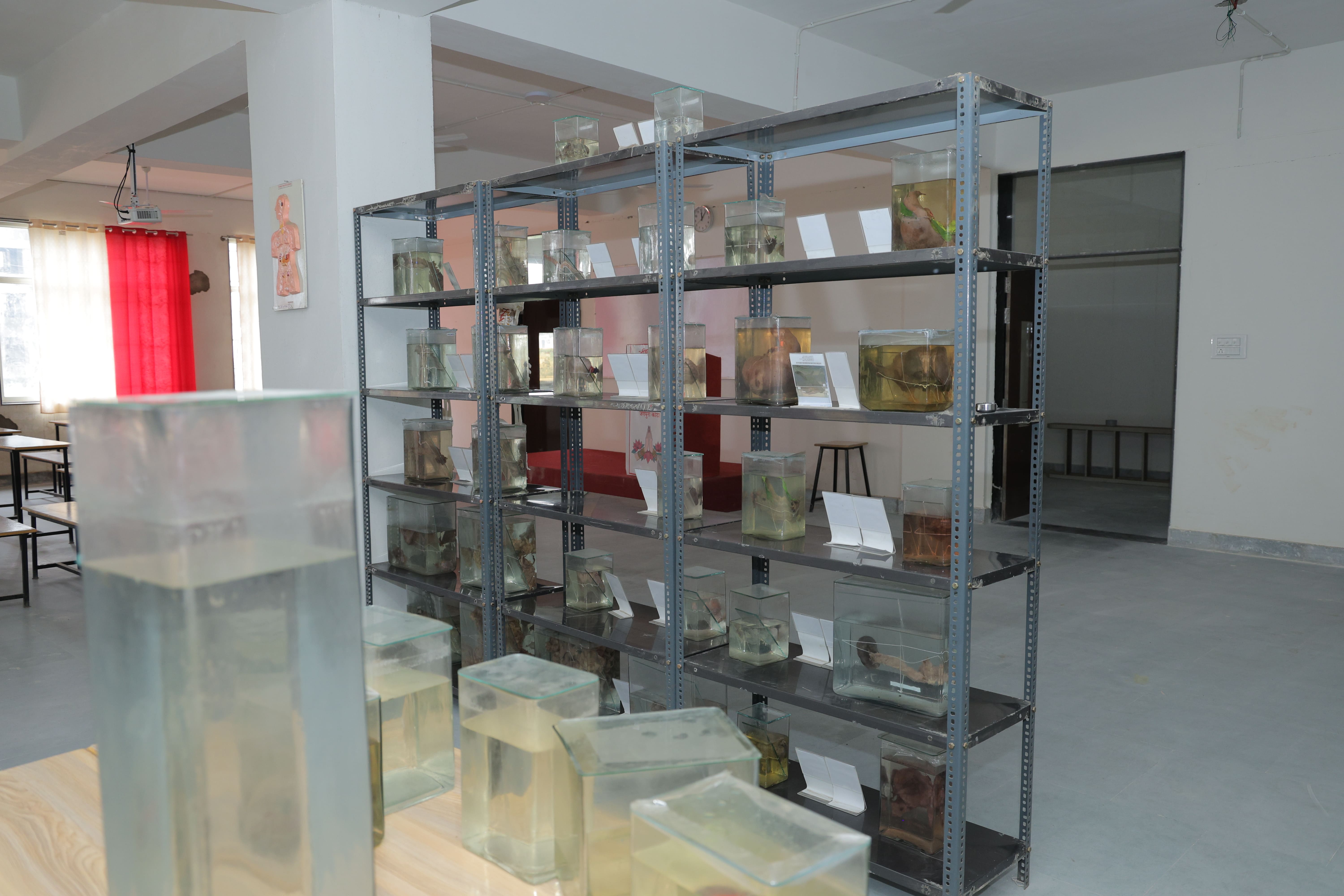 Anatomy department image