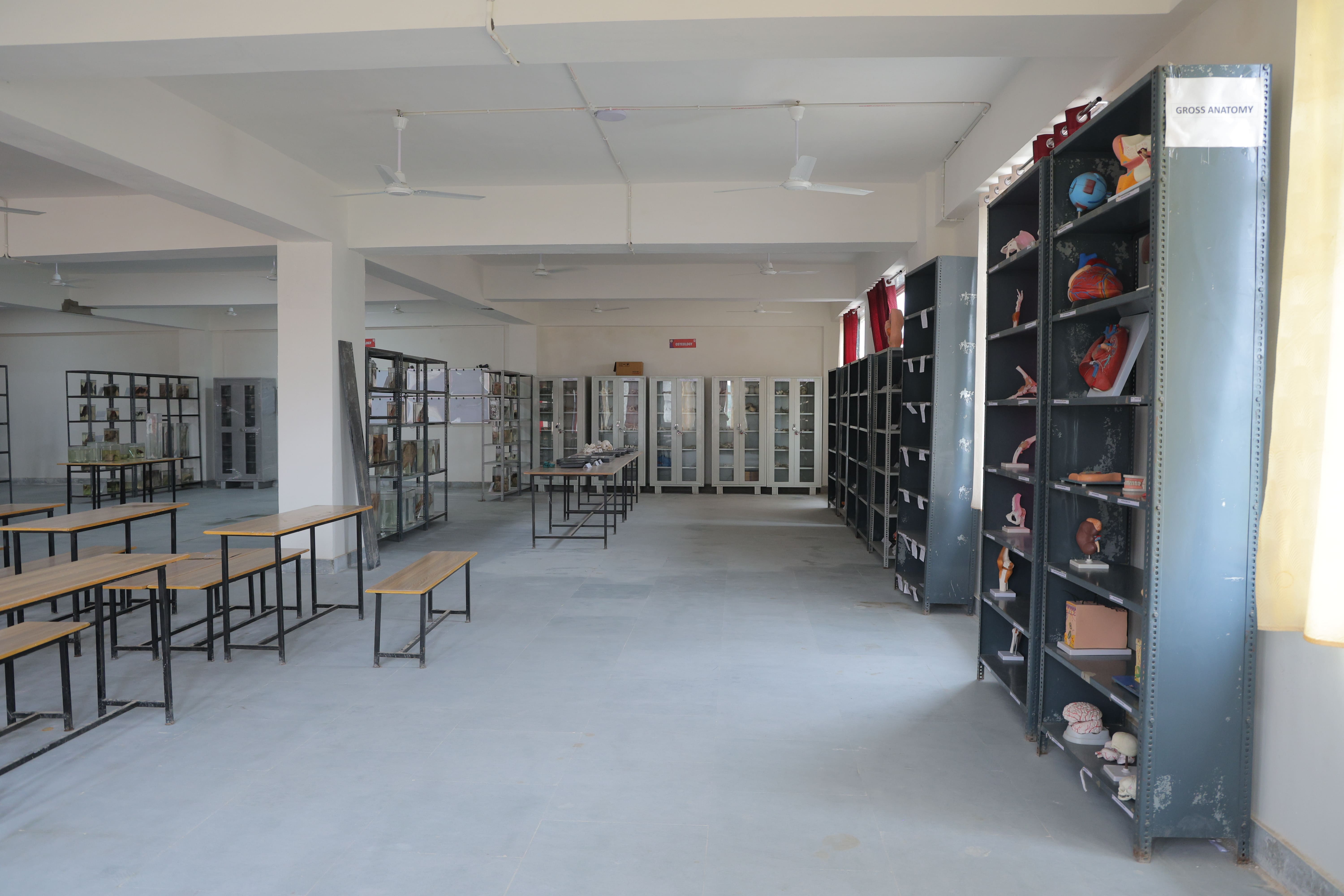 Anatomy department image