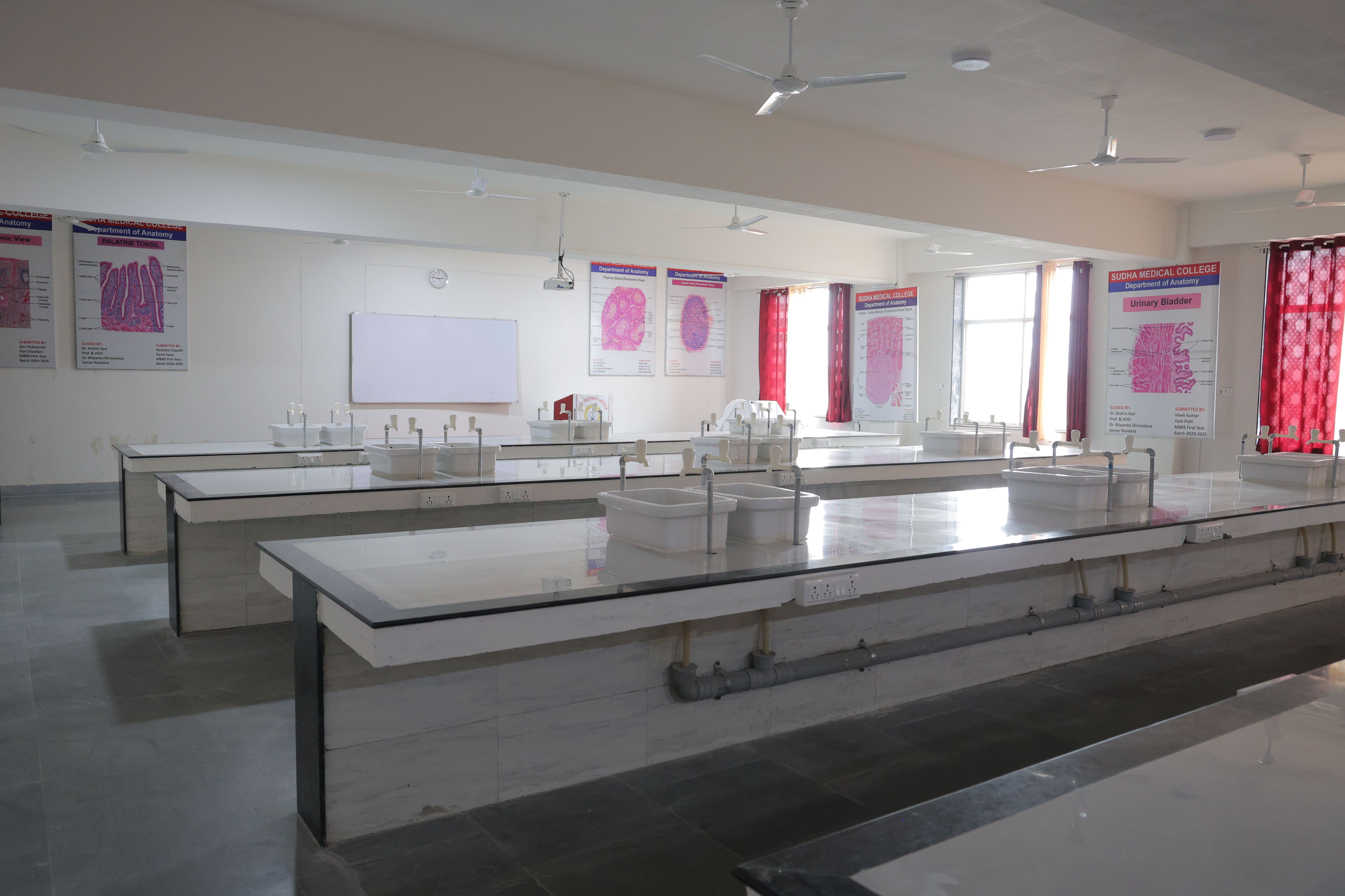 Anatomy department image