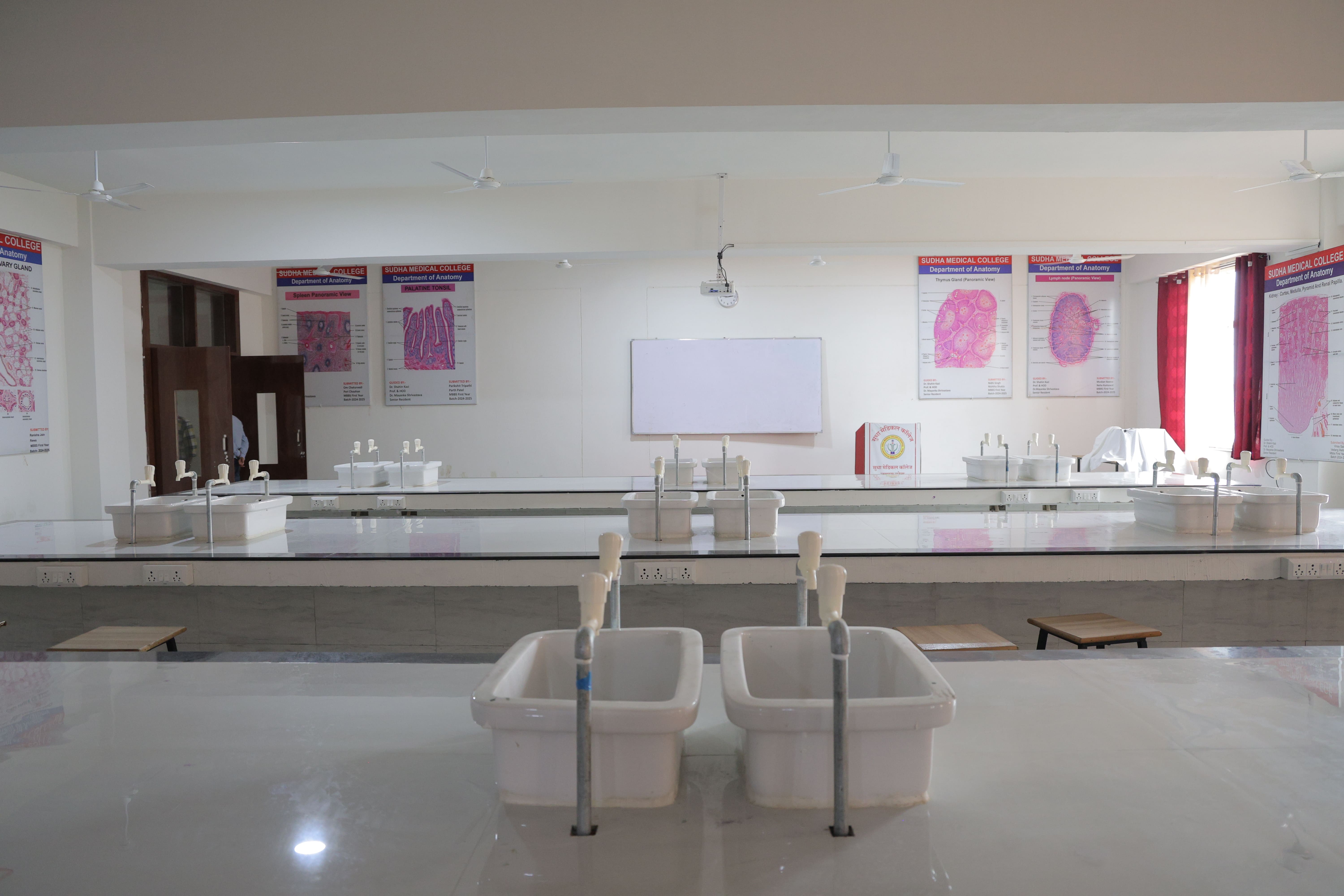 Anatomy department image